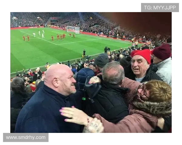 英超各球队入座率与球迷支持度分析