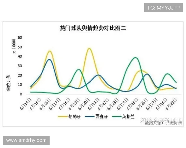 巴西世界杯排名分析与球队表现回顾